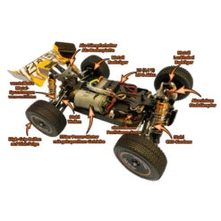 Z06-Evolution 1:14 RTR Buggy -3123 -Tamiya || Kyosho Verkoopwinkel df models z06 evolution rtr buggyc 800x800 1